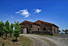 Visita Cantina, Degustazione e light lunch in Sicilia