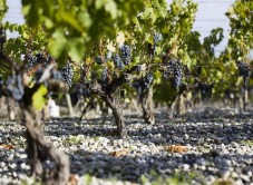 Weekend per due a Bordeaux con Escursione a Saint-Émilion con degustazione
