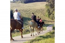 Escursione a cavallo di due ore tra le colline della provincia di Como
