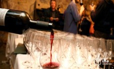 Degustazione 4 vini con visita a vigneto cantina 