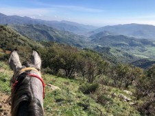Escursione a cavallo in sicilia