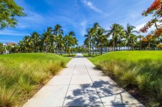 Tour gastronomico a South Beach