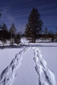 Buono Regalo: Pacchetto Genitore e Figlio in Val di Funes con Parco Avventura