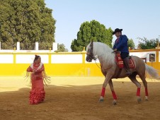 Visita guidata di Jerez e Cadice da Siviglia con degustazione di vini