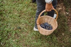 Degustazione Vini e Merenda Novara