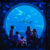 Biglietto per Atlantis Aquarium in Dubai