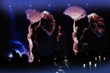 Dinner Show Avanspettacolo Venezia