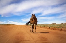 Trekking a Cavallo di 2 giorni in Tenda per quattro persone