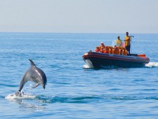 Safari fra delfini e grotte per due in Portogallo