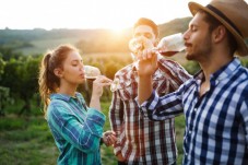 Degustazione sensoriale di vino 