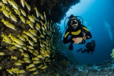 Immersione Golfo di Pozzuoli - Napoli