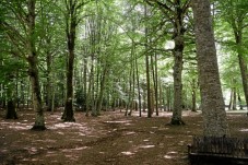 Alla Scoperta Della Fauna Delle Mauritius