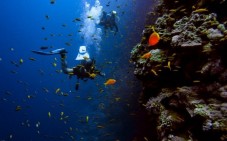 Corso Scuba Experience Underwater Diving - Napoli