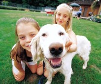 Percorsi cinofili con il proprio cane e scoperta della falconeria nell’Oltrepò Pavese.