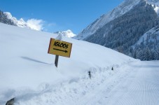 Corso Costruzione riparo di neve 