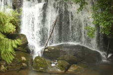 3 giorni di Ecomagic Jungle Tour in Perù