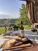 Degustazione Vini nelle Langhe