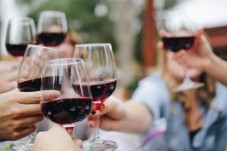 Corso Online di Enologia e Degustazione Vini 