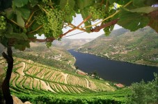 Croisière Évasion Vallée du Douro pour 2 personnes | 2 jours