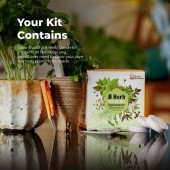 Coltiva le tue Erbe Biologiche Starter Kit
