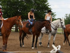 Lezione di equitazione & soggiorno 1 notte