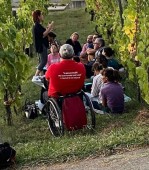 Visita al Vigneto e alla Cantina con Degustazione a Peccioli
