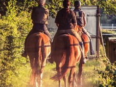 Lezione di equitazione - 2 ore & soggiorno 1 notte