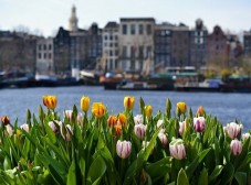 Viaggio ad Amsterdam con tour in bicicletta per 4