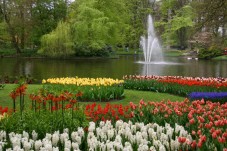 Visita guidata di Keukenhof e dei campi di fiori con partenza da Rotterdam