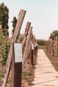 Degustazione di vino esclusiva presso Casa Paladin