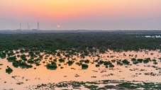 Tour di Dukhan e costa occidentale da Doha