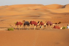 Safari privato nel deserto del mattino da Dubai