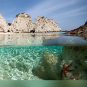 Escursione Snorkeling Isole Tremiti Puglia