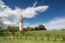 Degustazione Privata di Vini all'Isola di Mazzorbo con Sommelier