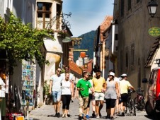 Wachau Winery Bike Tour