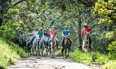 Adventure Pass Rincon de la Vieja (Hacienda Guachipelin): Tour From Guanacaste