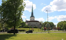 Escursione per crociere: tour panoramico di Tallinn di mezza giornata