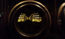 The Mole Antonelliana and The National Museum of Cinema: discover Turin with your family