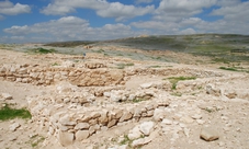 Private day tour from Tel Aviv: Negev and the Beersheba region