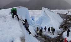 Penguin Island and Historic Estancia Harberton Excursion