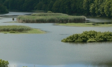 Tour dei Nebrodi: cammina attraverso la natura e la storia