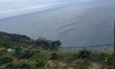 Tour dei vigneti e degustazione di vini nelle Cinque Terre