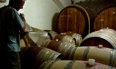 Castello di Stefanago: visita e degustazione di vini e prodotti biologici per 2 persone