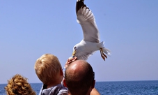 Elaphiti Islands full-day cruise from Dubrovnik