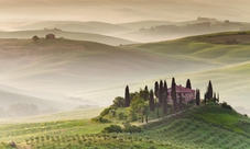 Escursione pomeridiana nel Chianti con Degustazione di Vini
