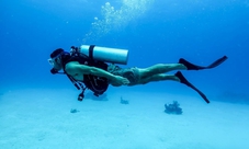 Immersione nel mare della Calabria