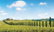 Tour in bicicletta nel Chianti da Siena con pranzo leggero e degustazione di vini