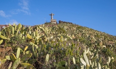 Escursione per crociere: tour guidato della zona nord est di Madeira