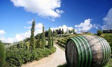 Tour dei vini di Bolgheri in bicicletta elettrica da Livorno con pranzo e degustazione di vini