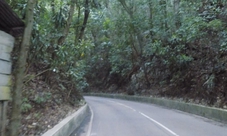 Rainforest adventure from Ocho Rios